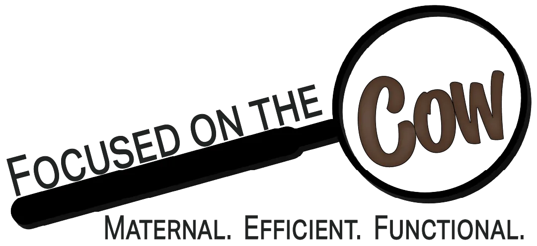 Focused on the Cow — Maternal. Functional. Efficient.